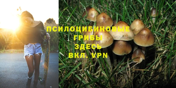 МДМА Богородицк