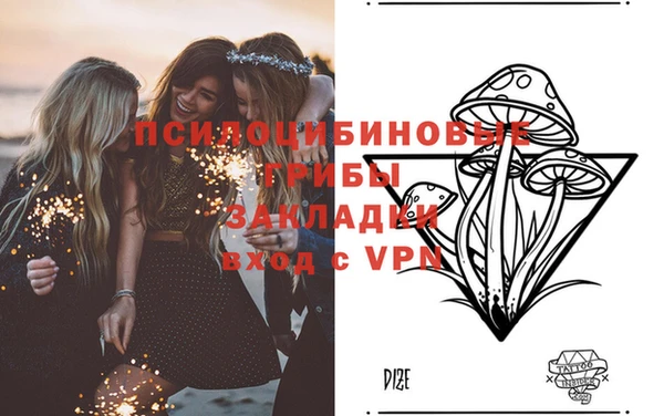 ешки Белокуриха