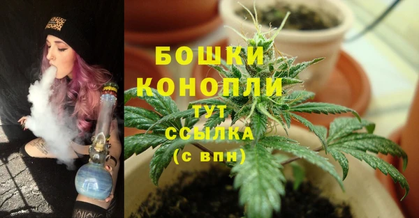 МДМА Богородицк