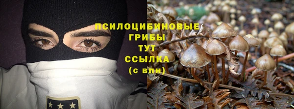 МДМА Богородицк