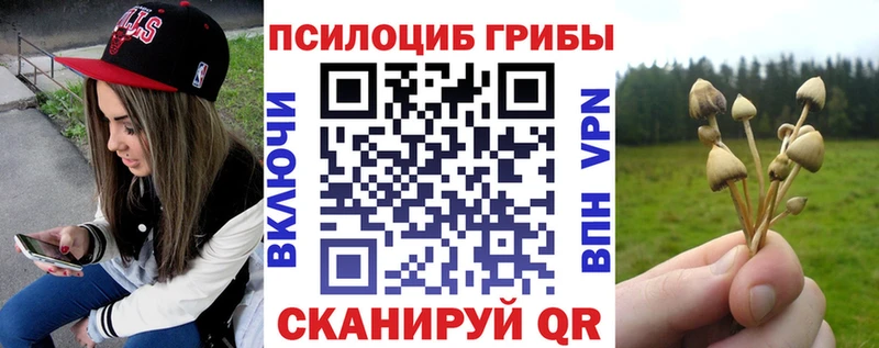Галлюциногенные грибы ЛСД  Фатеж 